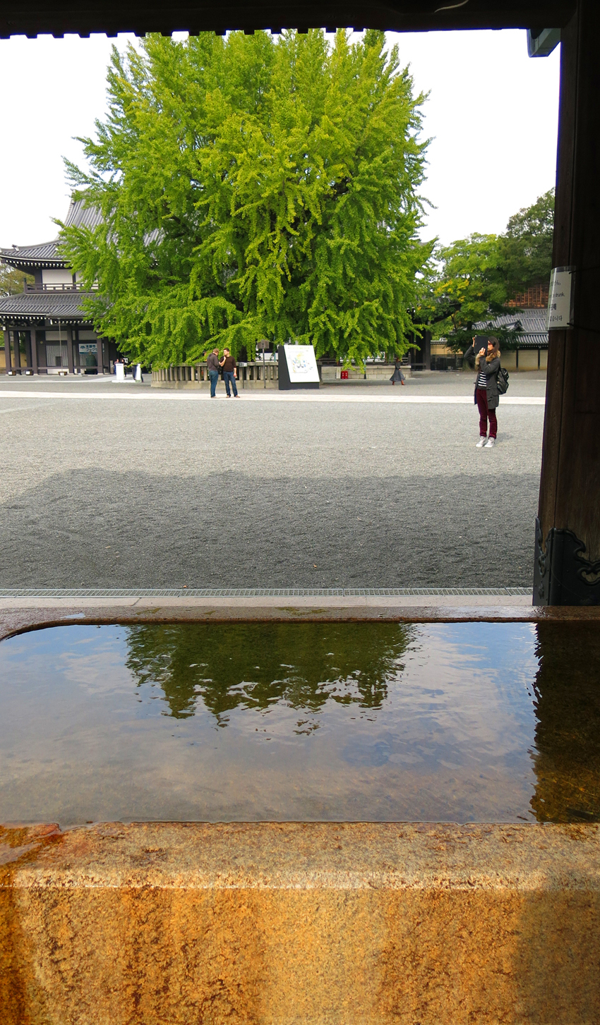 Kyoto water basin Nishi-Honganji