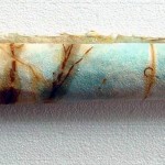 Nona orbach, 2010, Scroll, Paper, rust,aquarell, bone