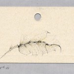 Landslides and Earthquakes Dating, 2003, miniature drawing and collage on various cards.