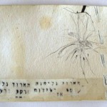 Landslides and Earthquake's Dating, 2003, miniature drawing and collage on various cards.